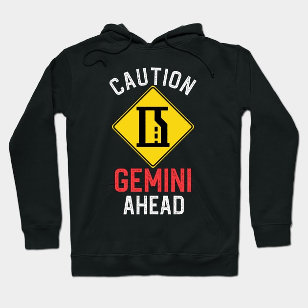 Funny Zodiac Horoscope Gemini Road Sign Traffic Signal Hoodie by WitchNitch